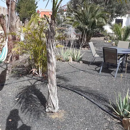 Vital Fuerteventura - Atmospheric, Small-scale, Adults Only * 安提瓜