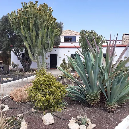 فندق مبيت وإفطار Vital Fuerteventura - Atmospheric, Small-scale, Adults Only *