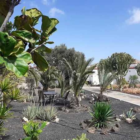 فندق مبيت وإفطار Vital Fuerteventura - Atmospheric, Small-scale, Adults Only أنتيغوا